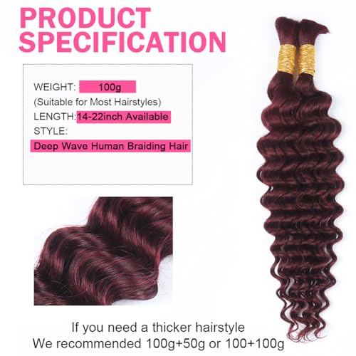 Deep Curly Human Braiding Hair for Boho Braids Burgundy Deep Water Wave Human Hair Braiding Hair No Weft Hair Bundles for Bohemian Knotless Braids 20 22 Inch Bulk Human Hair for Braiding 50g/Bundle