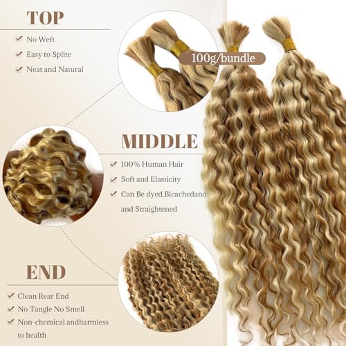 Boho Braids Human Hair Knotless Ombre Blonde Human Braiding Hair 14 Inch 27/613 Ombre Water Wave Bulk Human Hair for Braiding Wet and Wavy No Weft 100g 2 Bundles Curly Human Hair Extensions