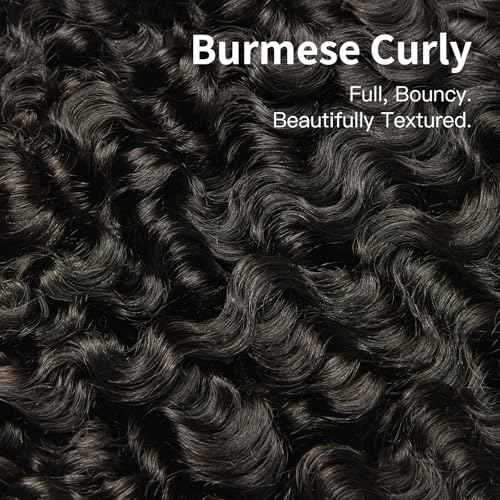 ASHINE Burmese Curly Bundles Human Hair Unprocessed Raw Burmese Curly Water Wave Human Hair Single Bundle 20 inch Natural Black