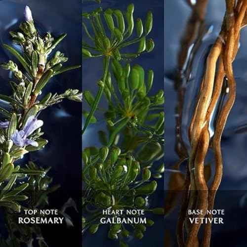 Davidoff Cool Water Reborn Eau de Toilette ? Woody Men's Cologne ? With Notes of Rosemary, Galbanum & Vetiver ? Long Lasting Fragrance