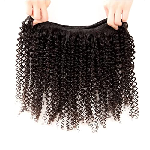 Kinky Curly Bundles Human Hair Bundles Brazilian Curly Hair Bundles 12A Virgin Curly Human Hair Bundles Curly Weave Hair Bundles Natural Black (12 14 16) ¡¦ ¡¦