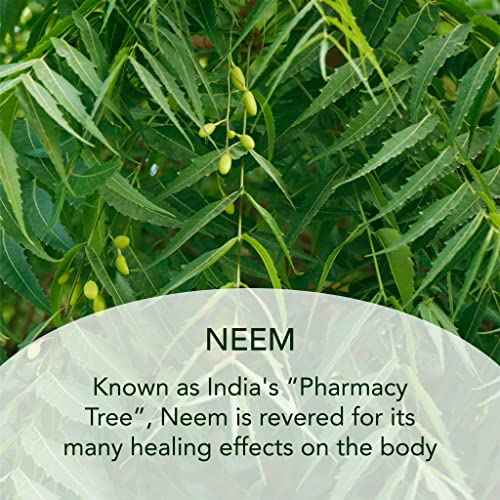 SUNDARI Neem and Avocado Balancing Moisturizer ? 1.7 Fl Oz, Hydrating Face Cream with Neem, Smoother Texture, Healthier Skin, All Natural Botanicals