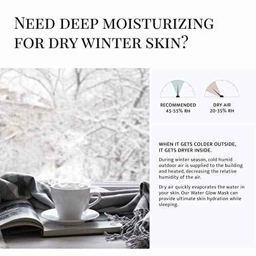 Snow White Water Glow Mask Cream | Moisturizing Sheet Free Sleeping Pack (2 Original + Brush)