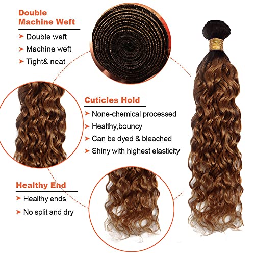 Ombre Water Wave Bundles Human Hair Brown Bundles 18 20 22 Inch 8A Peruvian Virgin 1B30 Water Wave Bundles Human Hair Extensions 2 Tone Black and Brown Bundles Human Hair