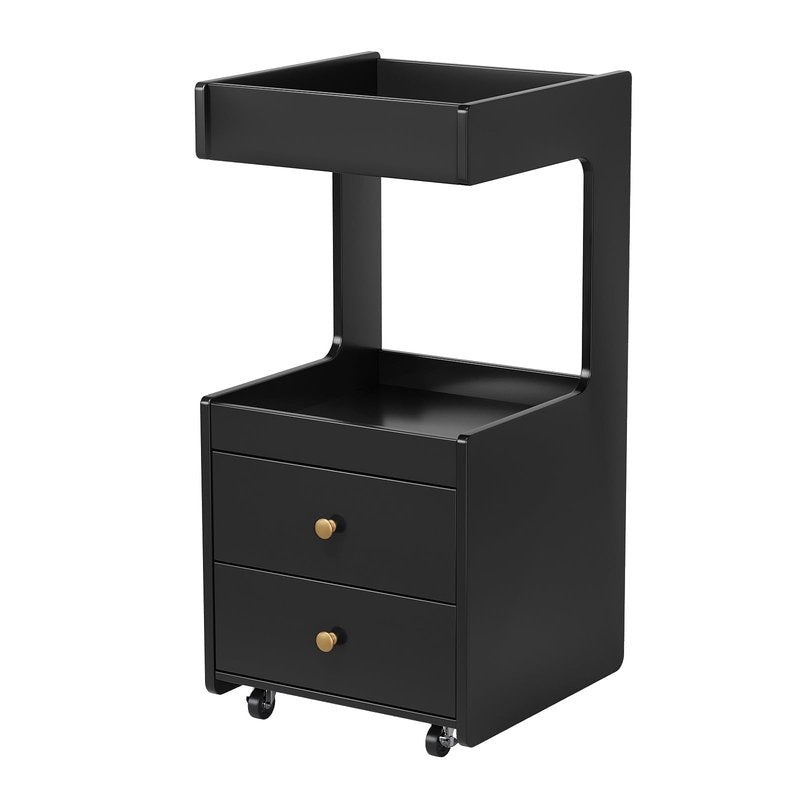 OmySalon Salon Trolley Cart, Esthetician Cart with Wheels, Hair Styling Station with 2 Drawers, 1 Open Shelf, Mobile Storage Cabinet Utility Trolley for Beauty Salon Spa, Black