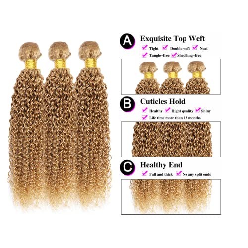 Blonde Bundles Color 27 Human Hair Honey Blonde Kinky Curly Human Hair Weave No Tangle Hair Extensions For Women Brazilian Unprocessed Virgin Hair 8 10 12 Inch