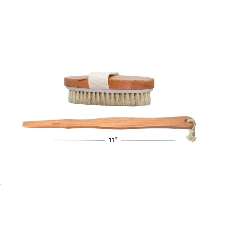 Dry Skin Body Brush 16"- Natural Bristle - For Dry Brushing - Detachable Handle -Removes Dead Skin & Toxins, Helps Cellulite, Lymphatic Functions, Blood Circulation & Exfoliation-Pouch & Hook Included