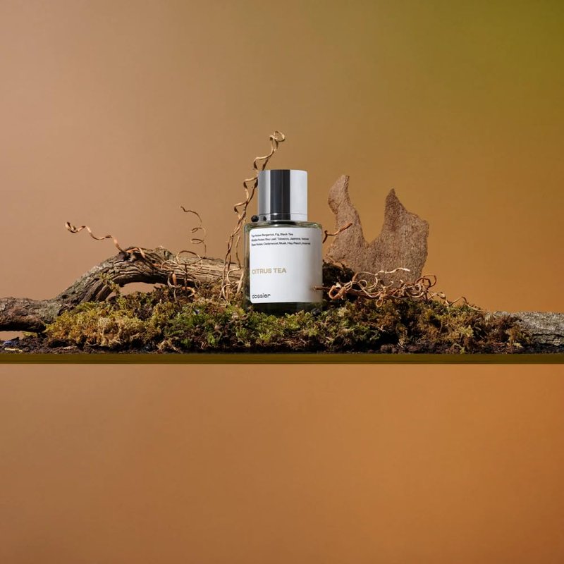 Dossier - Citrus Tea 1.7 Fl oz (50ml) - Perfume Inspired by Labo Thé Noir - Pure Infused - Paraben Free - Vegan - For Women Men Unisex