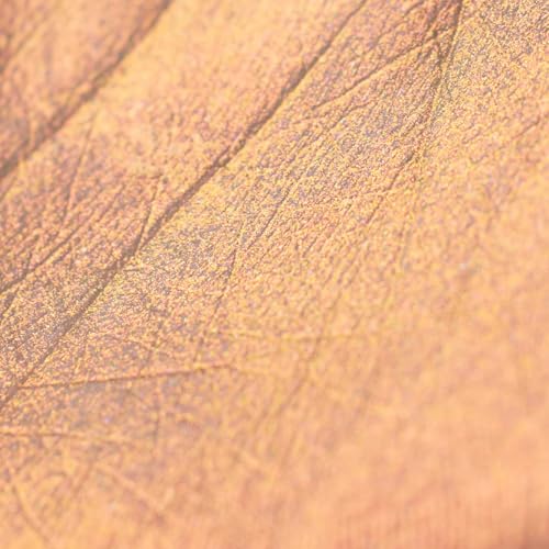 Flower Knows Midsummer Fairytales Liquid Highlighter(Multichrome),Highlighter Makeup,Pearlescent Face & Body Illuminator,Blendable & Long-lasting face Highlighter for All Skin Tones(03 Pixie Dream)