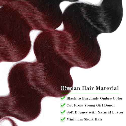 Kapelli Hair Ombre Human Hair Bundles Body Wave (14 16 18) 100% Unprocessed Brazilian Virgin Remy Hair Body Wave Bundles 2 Tone Black to Burgundy Human Hair Weave for Women