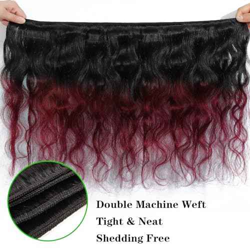 Kapelli Hair Ombre Human Hair Bundles Body Wave (14 16 18) 100% Unprocessed Brazilian Virgin Remy Hair Body Wave Bundles 2 Tone Black to Burgundy Human Hair Weave for Women