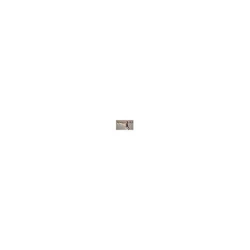 Maria Nila Extreme Spray, Hold 5/5, Antioxidant Preserves Hair Color, 100% Vegan & Sulfate/Paraben free