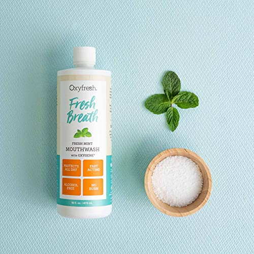 Oxyfresh Fresh Mint Flavored Mouthwash for Adults, Fresh Breath & Bad Breath Treatment ? Dentist Recommended for Long - Lasting Fresher & Healthy Gums - Alcohol & Fluoride Free - 16 Fl Oz (Pack of 3)