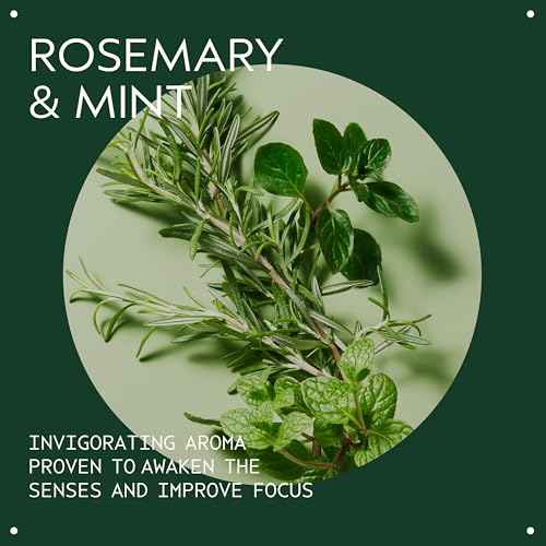 Aveda Rosemary Mint Hand & Body Wash | Liquid Hand Soap and Body Wash | with Invigorating Aroma of Certified Organic Peppermint & Rosemary