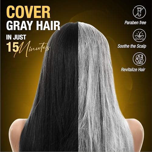 ABERA Hair Dye Shampoo, Black Hair Color for Grey Hair Coverage for Women and Men, One-wash Hair Blackening Treatment with Natural Dark Color (10.1 Fl. Oz.)