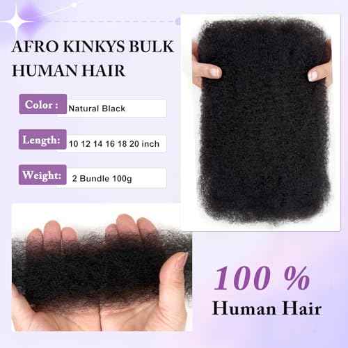 Afro Kinky-Curly Human Hair Bulk for Twist 18 Inch 100g Bulk Human Braiding Hair For Mini Twists Hair Micro Locs Extensions Dredlock Extensions