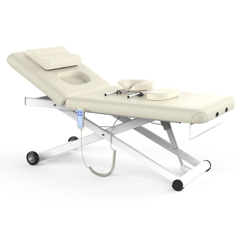 Dolonm Electric Massage Table, Heavy Duty Electric Lift and Electric Backrest 2 Motor Adjustable for Treatment/Medical Spa/Facial Bed/Beauty Bed/Massage Beds and More - 31.2 Wide x 75 Long, White