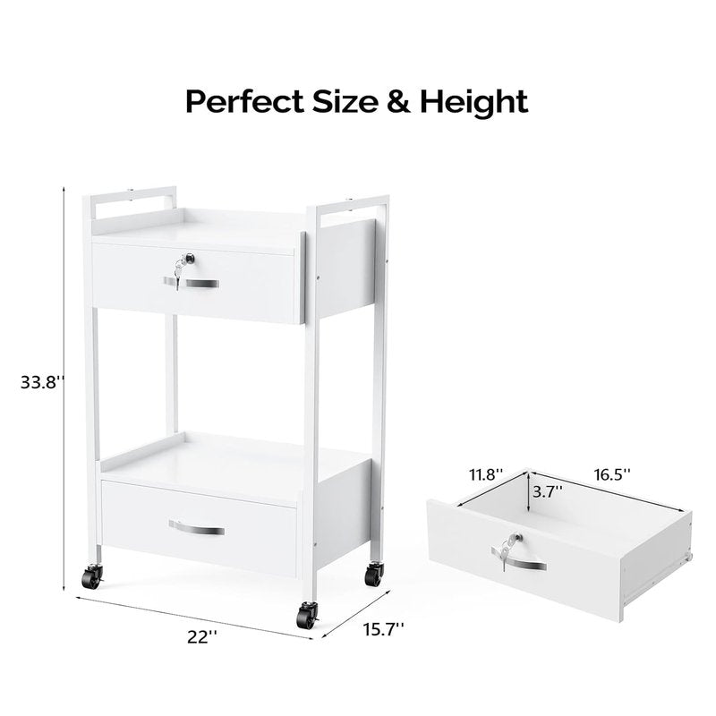 Salon Trolley Cart with Wheels - Mobile Esthetician Storage Organizer with 2 Drawers & 2 Trays | White