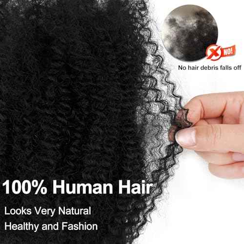 Afro Twist Human Hair 16 Inch Afro Kinkys Bulk Human Hair 40g/Bundle Natural Black Human BraidingHair for Loc Extensions Marley Twist Brainding Hair (16inch,Pack of 2)