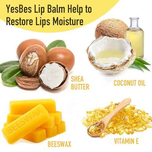 32 Pack Lip Balm, Natural Lip Balm Bulk with Vitamin E and Coconut Oil, Moisturizing Lip Balms for Dry Cracked Lips, Lip Balms for Stocking Stuffers - 8 Flavors
