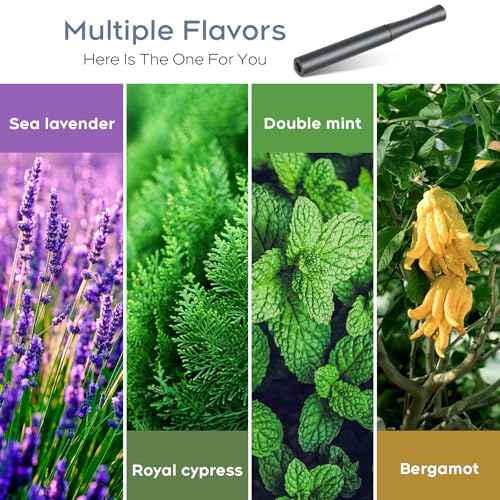 Quit Bad Habit Flavored Air Device, Refreshing Refresh,Natural Plant Extract, Upgraded Version,Aluminum-0409-01