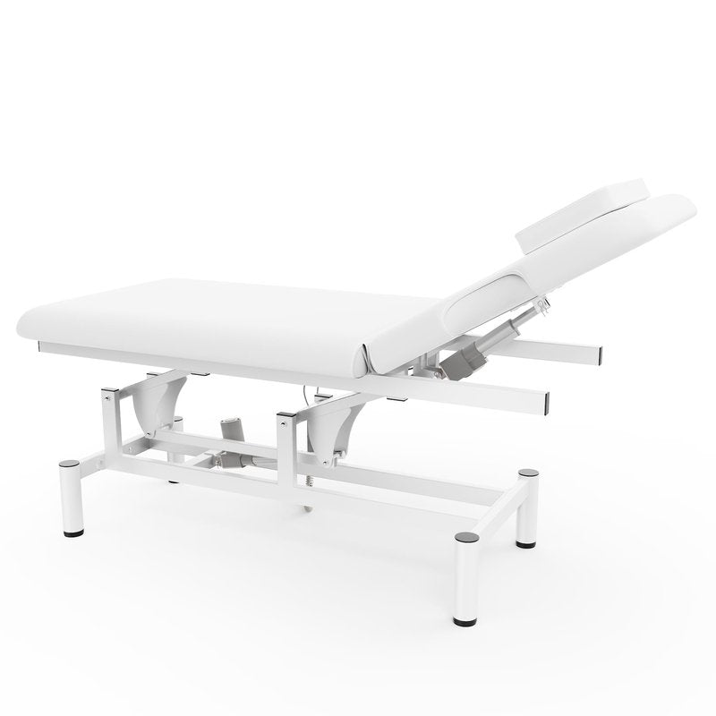 Professional Electric Massage Table, 2 Motors Hydraulic Electric Lift Adjustable Backrest and Height Lifting Functions for Treatment/Physical Therapy/Spinal Massage/Facial Spa/Waxing/Tattooing - White