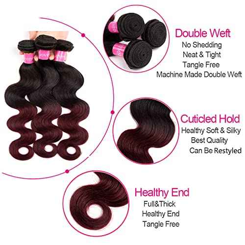 Ombre Brazilian Virgin Hair Body Wave Human Hair Bundles 12+14+16 inch 3 Bundles 100% Virgin Hair Bundles 2 Tone Black to Burgundy Human Hair Weave(12 14 16, T99J#)