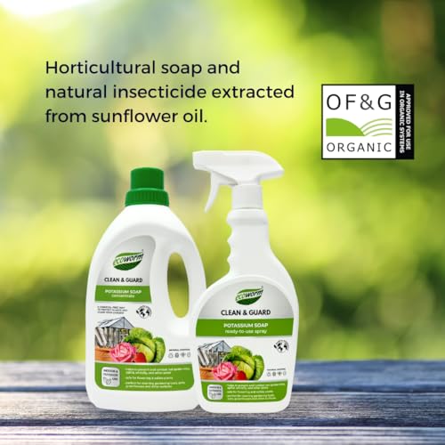 Ecoworm Organic Potassium Soap Concentrate ? Plant-Based Horticultural Formula | Natural Potassium Soap for Plants & Garden Care | Concentrated Organic Soap for Dilution (34 fl oz)