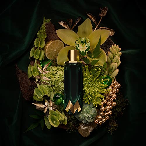 Jade from - Perfume for Women - Sweet, Fruity, and Floral Scent - Opens with Notes of Bergamot and Black Currant - Perfect for Date Night or Evening Out - 2.5 oz EDP Spray
