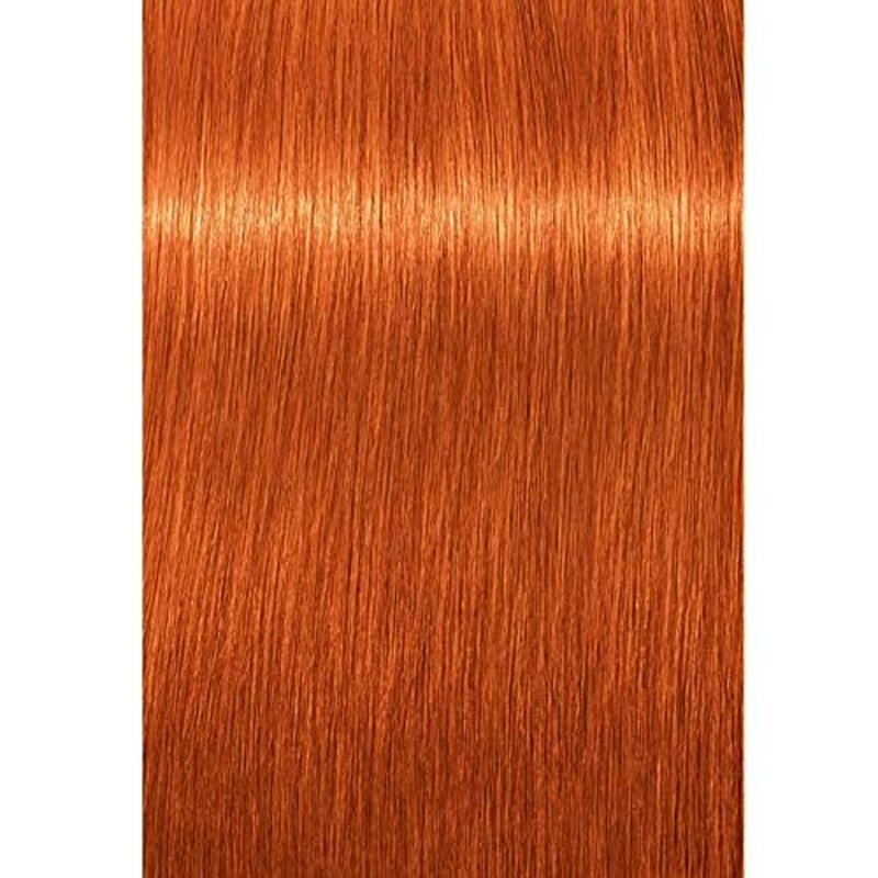 Schwarzkopf Professional Igora Royal Hair Color - Light Blonde Copper 8-77 | 60g Permanent Formula