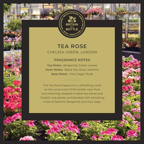Noble Isle Tea Rose Bath & Shower Gel | Luxury Body Wash for Women with Fine British Fragrance Oils | Vegan Body Wash & Paraben Free Body Wash (8.45 oz)