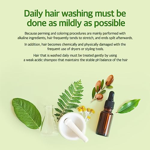 Kerasys Hair Clinic Tea Tree Oil 33.8 fl oz / 1L (Shampoo + Conditioner Set)