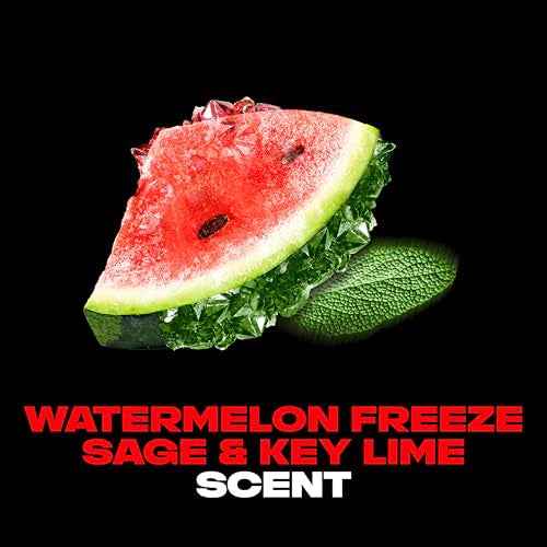 AXE Fine Fragrance Deodorant Body Spray for Men 3 Pack Watermelon Freeze Aluminum Free 4.0 oz