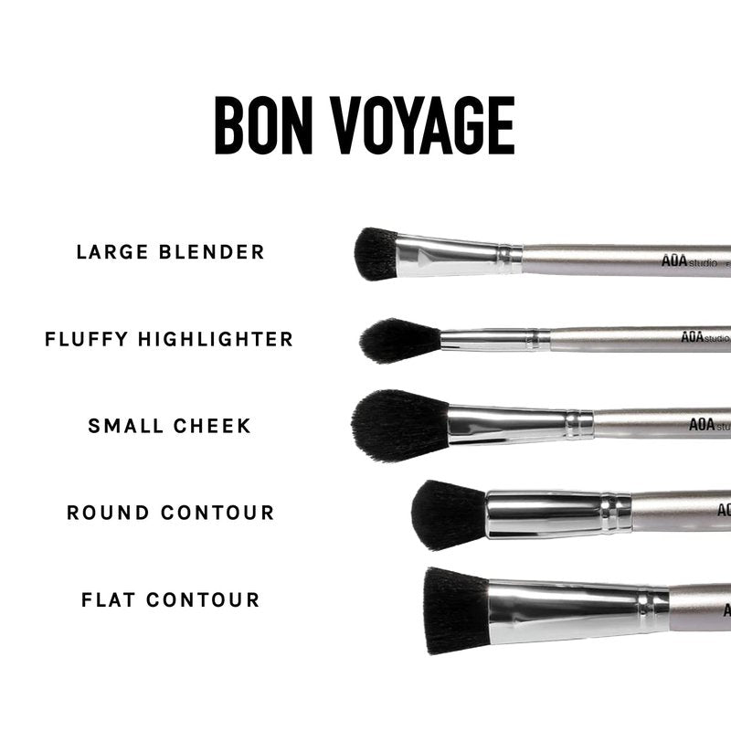 AOA Studio 10-Piece Silver Brush Set | Professional Foundation, Blending, Blush & Powder Brushes