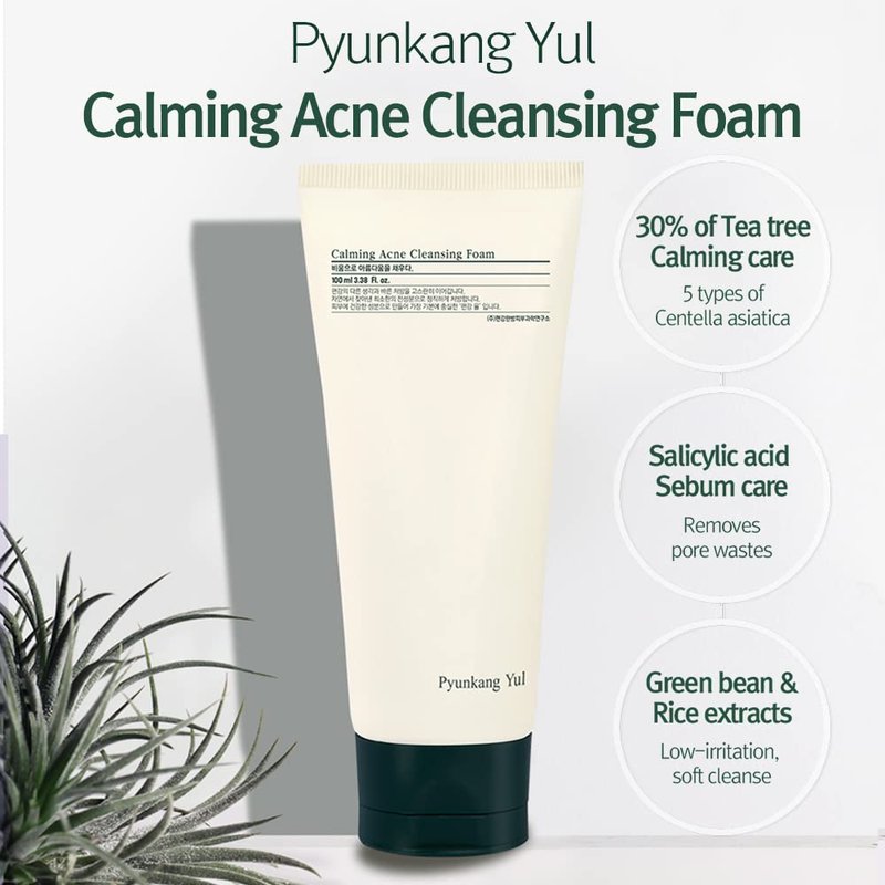 Pyunkang Yul PKY Calming Cleansing Foam, Low pH Formula Facial Wash/Cleanser with Witch Hazel, AHA for oil control- Cica, Tea Tree Extract - Rapid Moisture replenishment 3.38 Fl.oz