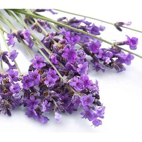 Eau vitale lavanda