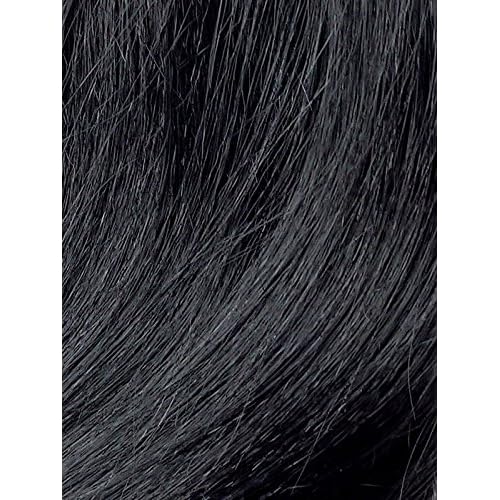 Zury Sis Pre-Tweezed Synthetic Wig Diva-H SISTA (1B)