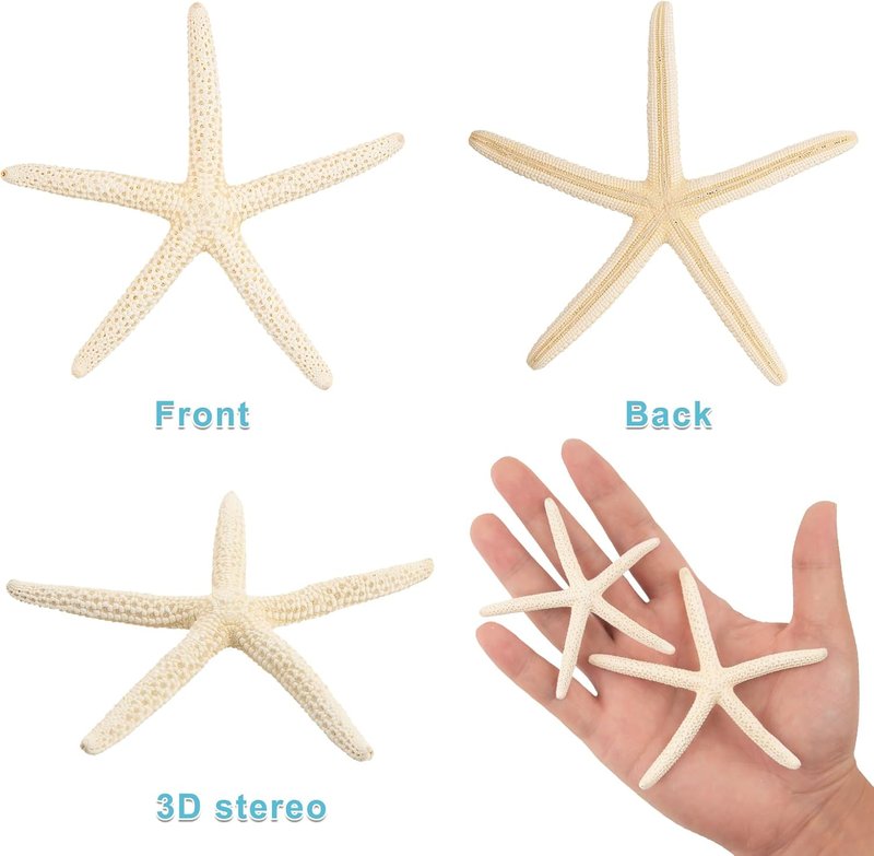 20 PCS Small Starfish for Crafts 2" to 4" Natural Starfish Decor Bulk, for Wedding Beach Theme Decor Home DIY Crafts Decor Christmas Tree Starfish Ornaments