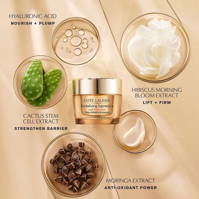 Estée Lauder Get Ready Routine 4-Piece Skincare Gift Set | Cleanse + Repair + Moisturize | Includes Cleanser 1 Fl Oz, Eye Cream 0.17 Fl Oz, Face Serum 0.5 Fl Oz & Moisturizer 0.24 Ounce