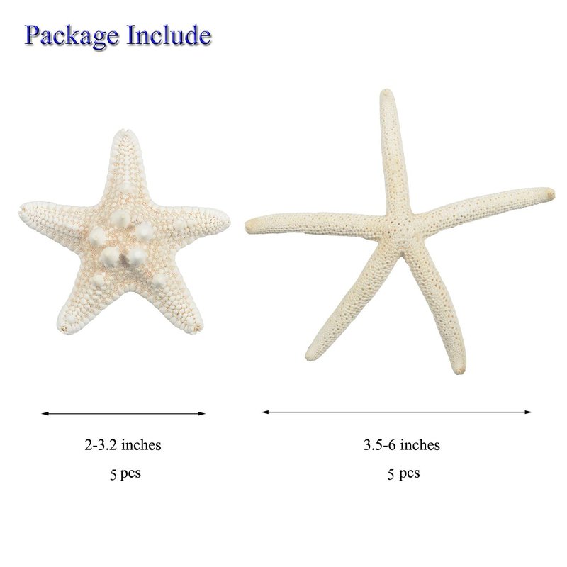 Jangostor 12 PCS Starfish 2-6 Inch Mixed Starfish Natural Seashells Starfish Star Fish Shells Decorations Perfect for Wedding Decor Beach Theme Party, Home Decorations, DIY Crafts, Fish Tank