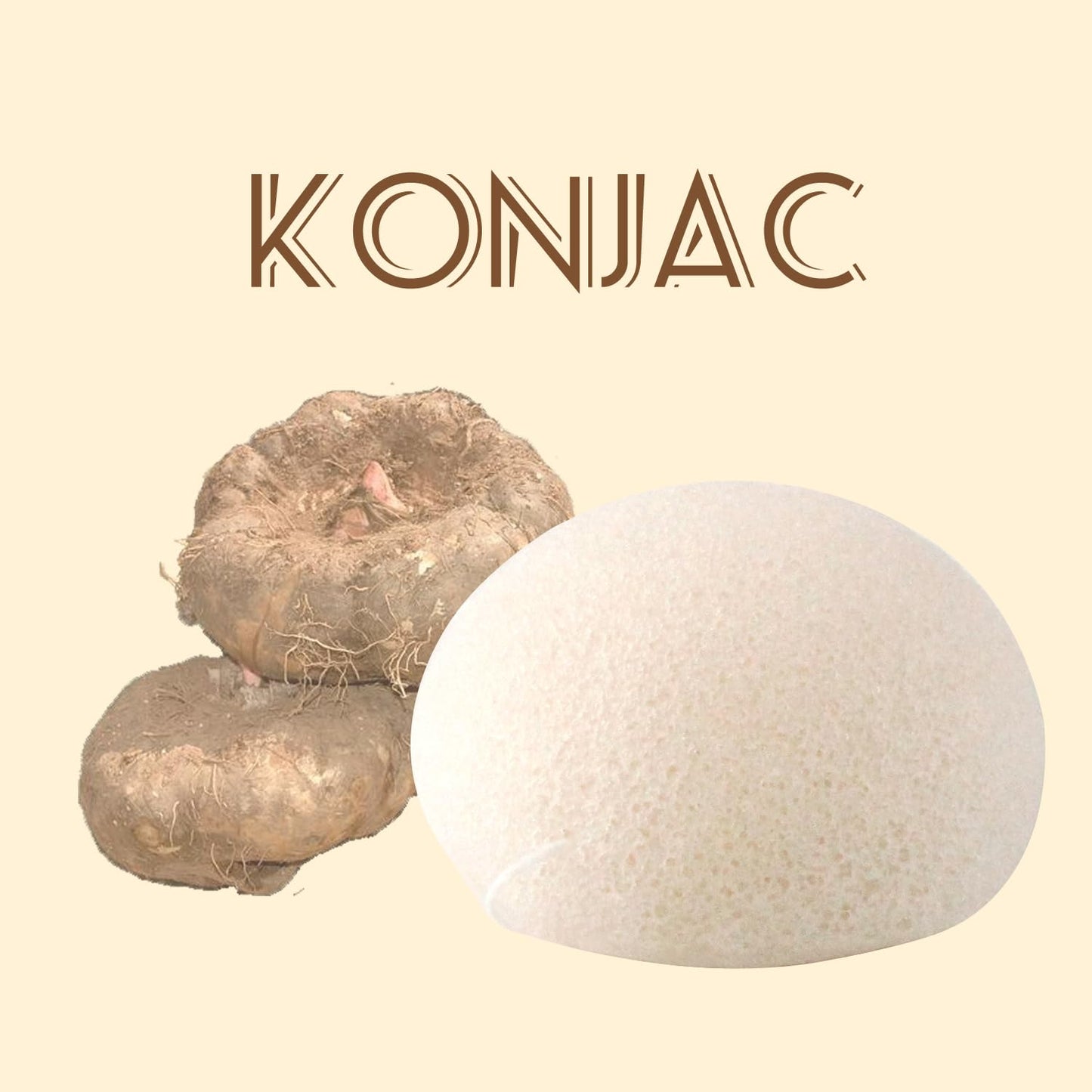 Spunspon Konjac Exfoliating Organic Facial Sponge Set | Gentle Daily Face Scrub/Skincare | Super Soft Body Cleansing Sponge for Shower, Safe for Baby Bathing, Half Ball + Rectangle (4 Pack, White)
