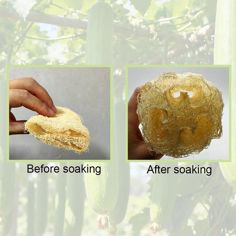 Zooshine 4PCS 6" Natural Loofah Sponge Organic Shower Loofah for Exfoliating & Smooth Skin, Loofahs for Bathing for Men & Women