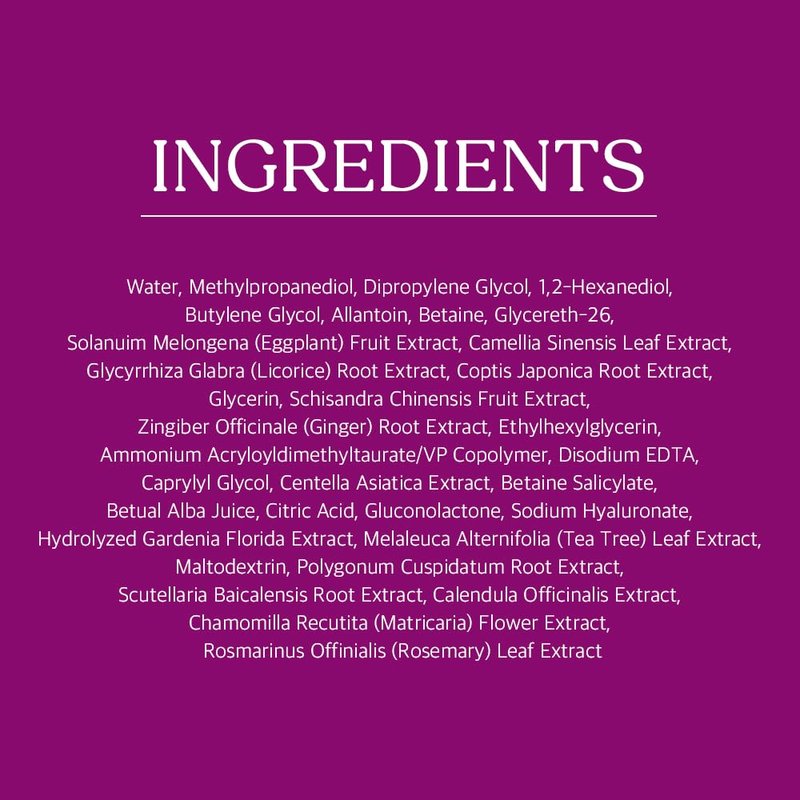 Papa Recipe Clearing Exfoliating Toner Pads – Dual-sided Korean Skin Care Pads with 1,000ppm of Eggplant Extract, AHA BHA PHA - Exfoliates, Hydrates & Smooths Skin Texture for Sensitive Skin - 70ct