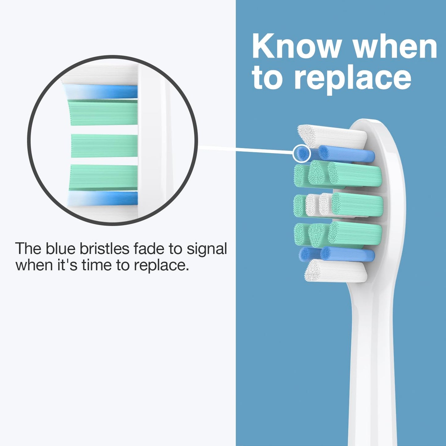 Boclengo Replacement Toothbrush Heads for Philips Sonicare Replacement Heads C2, C1,Electric Replacement Brush Head Compatible with Phillips Sonicare C2,C1,for Philips Sonic Care Electric Brush