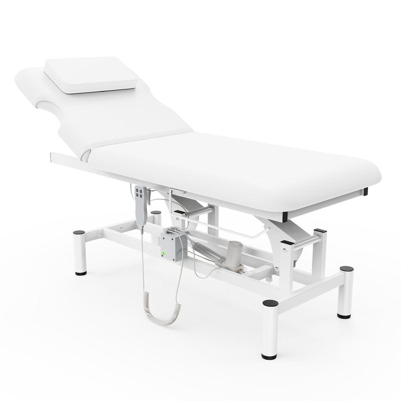 Professional Electric Massage Table, 2 Motors Hydraulic Electric Lift Adjustable Backrest and Height Lifting Functions for Treatment/Physical Therapy/Spinal Massage/Facial Spa/Waxing/Tattooing - White