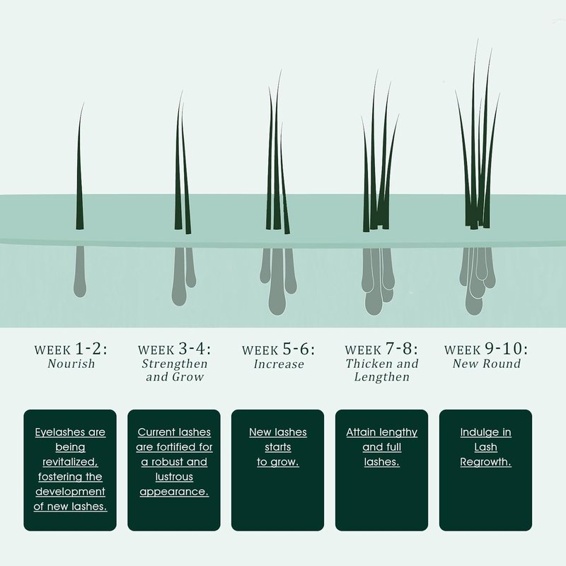 Eyelash Growth Serum - Promote Longer, Thicker Lashes | Vegan & Cruelty-Free, 3mL (2-Month Supply)