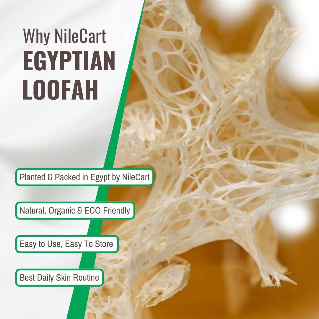 NileCart Natural Loofah for Men - 2 Pack Egyptian Luffa Sponge Pads - Natural Body Exfoliator Scrubber for Bath & Shower (Black)
