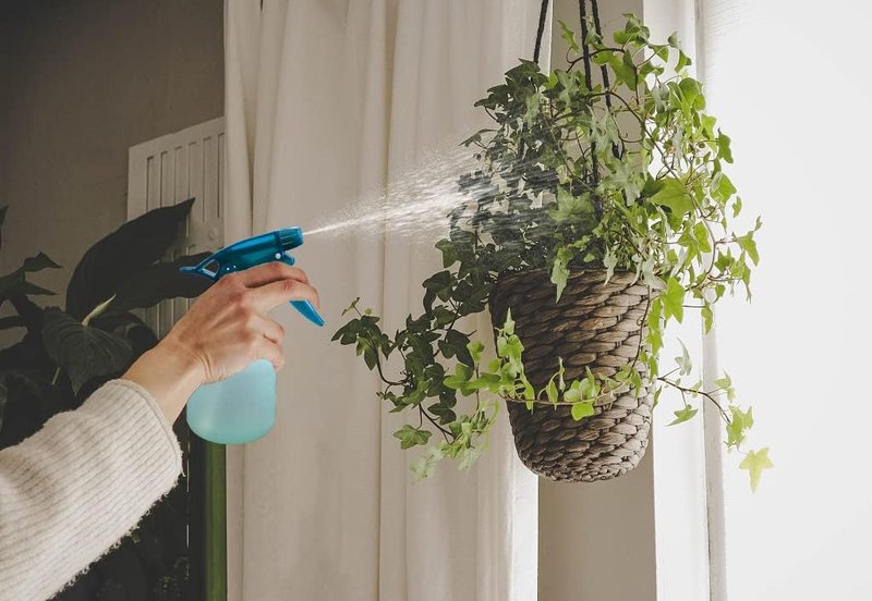Rayson Empty Spray Bottle Refillable Container, Fine Mist Sprayer Trigger Squirt Bottle for Taming Hair, Hair styling, Watering Plants, Showering Pets (1 Pack, Green)