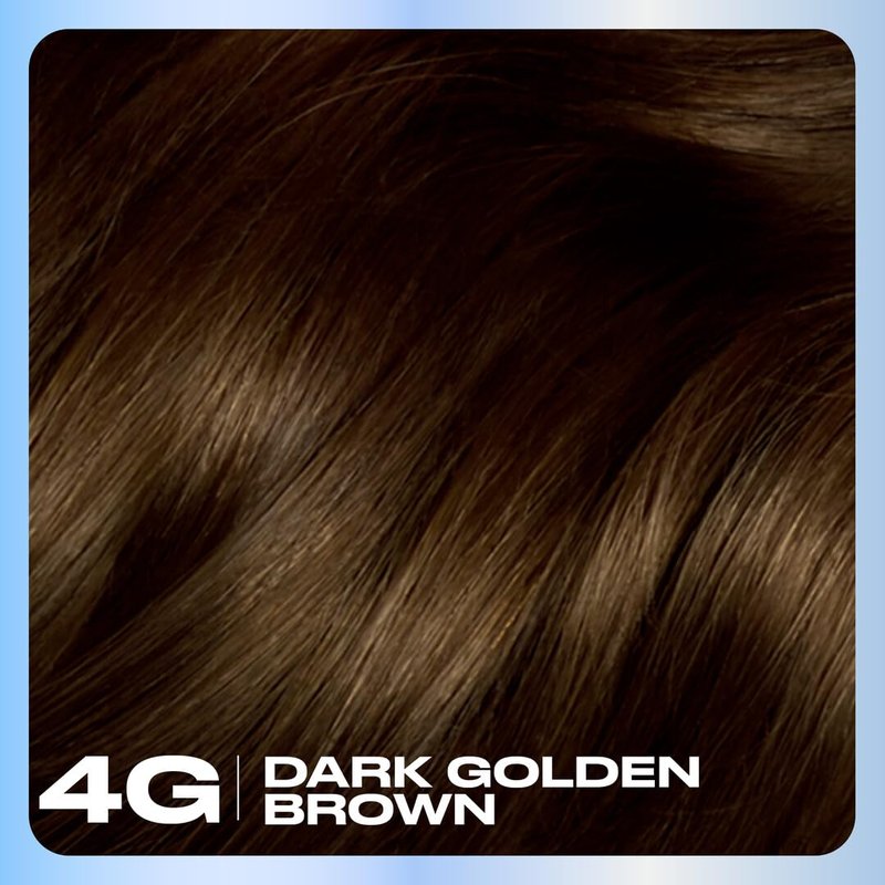 Clairol Nice'n Easy Permanent Hair Dye - 4G Dark Golden Brown | Long-Lasting, Natural Color & Shine | Pack of 3