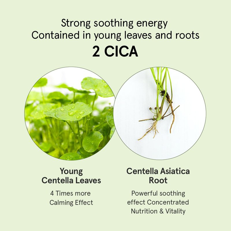 ONE THING CICA B5 Moisturizing Cream 2.36 fl.oz / 70ml | Korean Skincare, Ultimate Hydration and Barrier Strengthening for Sensitive Skin, Non-Greasy, Redness Relief